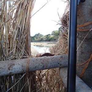 View from blind Zimbabwe