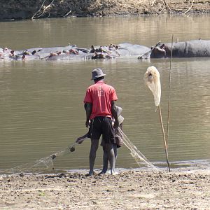 Fishermen working their nets Zimbabwe