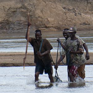 Trackers retrieving Crocodile Zambia