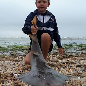 Fishing Sand Shark in Namibia