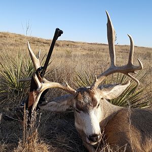 Mule Deer Hunt