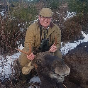 Sweden Hunting Moose