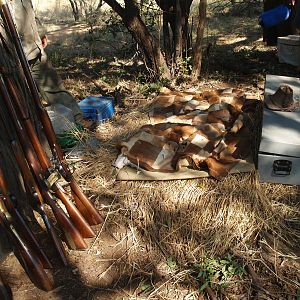 1883 Era Black Powder hunt photos