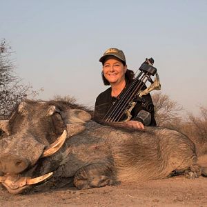 South Africa Bow Hunting Warthog