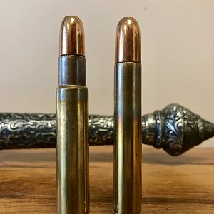 .450 Ammo