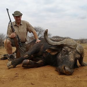 South Africa Hunting Cape Buffalo