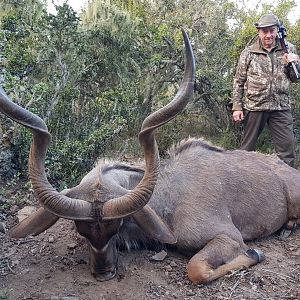 Hunt Kudu in South Africa