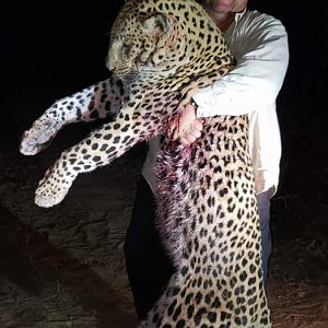 Zimbabwe Hunt Leopard