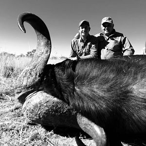 South Africa Hunt Cape Buffalo