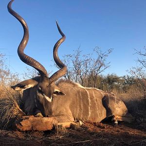 Kudu Hunt South Africa