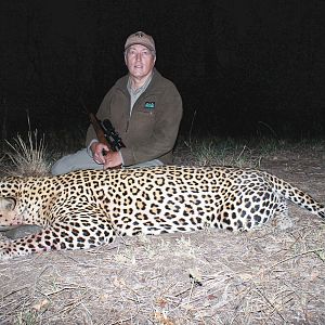 Hunt Leopard in Zimbabwe