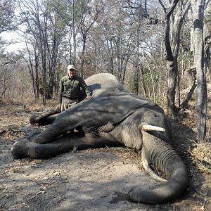 Hunt Elephant in Zimbabwe