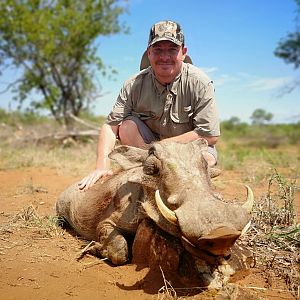 South Africa Hunt Warthog