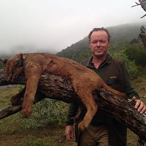 Hunt Caracal in South Africa