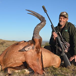 Red Hartebeest Hunt South Africa