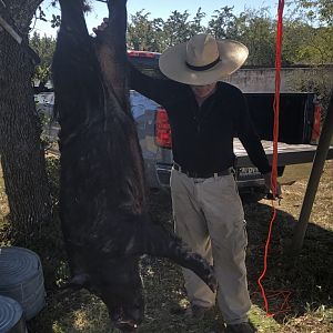 Hog Hunt USA