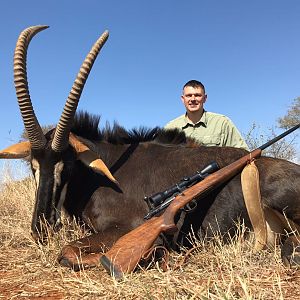 Hunt Sable Antelope in South Africa