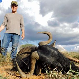 Blue Wildebeest Hunting Namibia