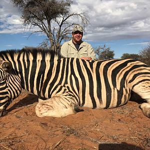 Burchell's Plain Zebra Hunting Namibia