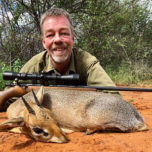 Damara Dik Dik Hunt Namibia