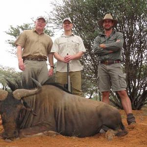 Namibia Hunt Blue Wildebeest