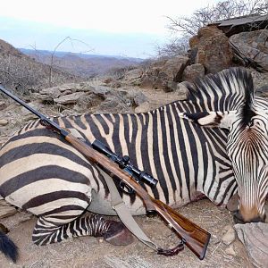 Hunt Hartmann's Mountain Zebra in Namibia