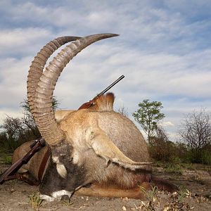 Roan Hunt Namibia