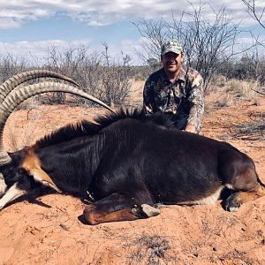 Namibia Hunt Sable Antelope