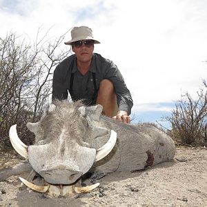 Warthog Hunt Namibia