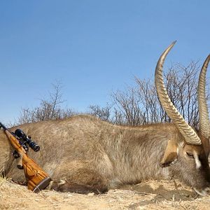 Waterbuck Hunting Namibia