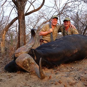 Cape Buffalo Hunt South Africa