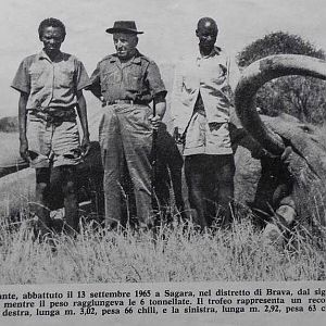 Hunting 145,5pounder Elephant, 3 meter tusks