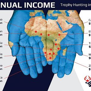 The Economics of African Hunting