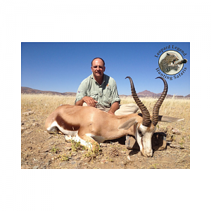 Damaraland Springbuck