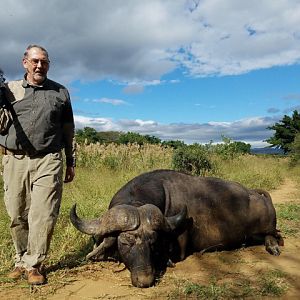 Hunting Cape Buffalo