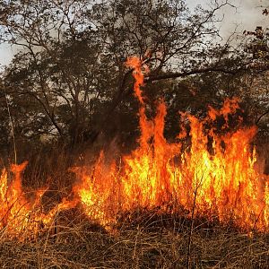 Controlled Fires Cameroon