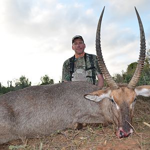 Waterbuck Hunt South Africa