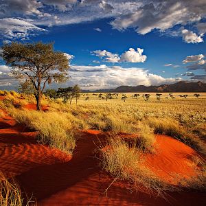 Namibia