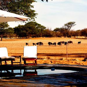 Namibia Hunting Lodge