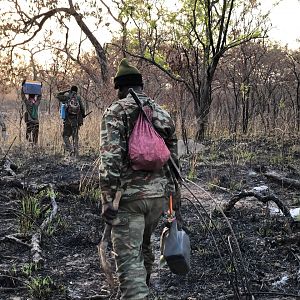 trackers walk the river banks to see if they can spot a python track