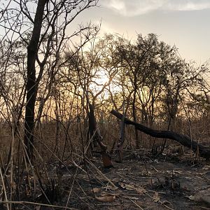 Hunting in Cameroon