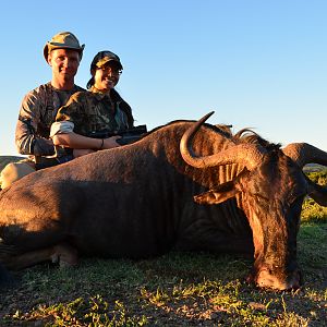 Hunting Blue Wildebeest in South Africa