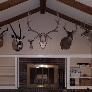 My Little Trophy Room