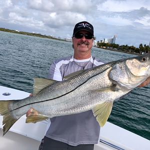 North Miami Beach USA Fishing Snook