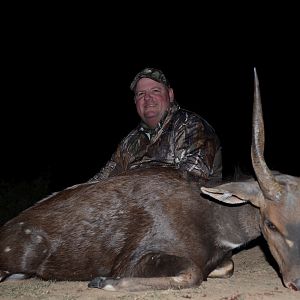 South Africa Hunt Bushbuck