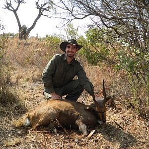 Bushbuck in Mpumalanga