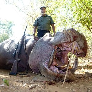 Zimbabwe Hunt Hippo