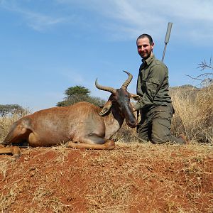 Tsessebe hunt Mpumalanga