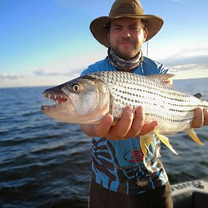 Cahora Bassa Mozambique Tigerfish Fishing