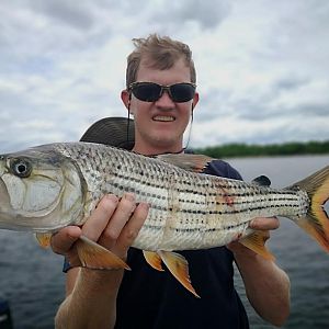 Tigerfish Fishing Cahora Bassa Mozambique